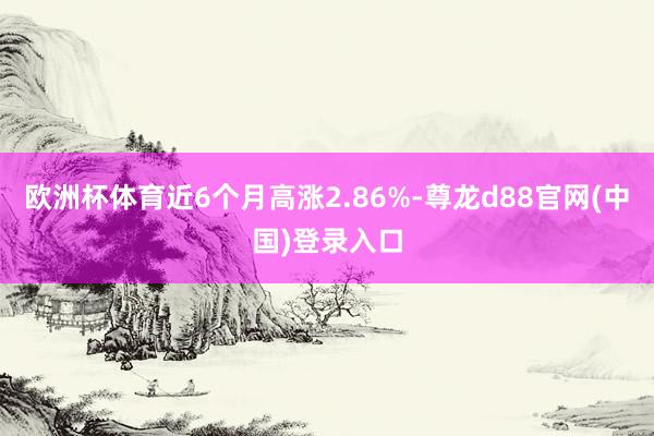 欧洲杯体育近6个月高涨2.86%-尊龙d88官网(中国)登录入口